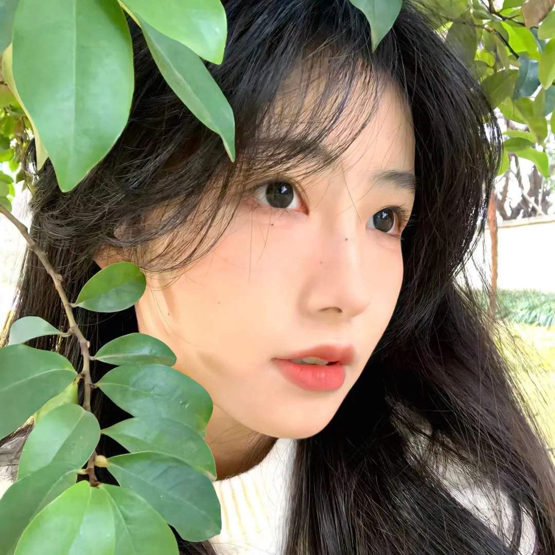 艳妓春色